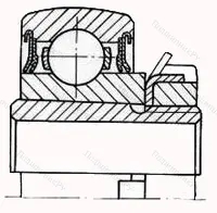 Модификация подшипника 6-1680205АК7 размер 25x62x18/31 от производителя  ГПЗ-23